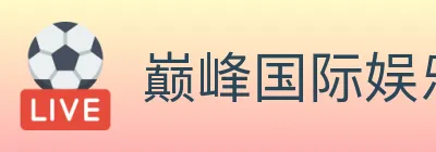 巅峰国际娱乐 logo